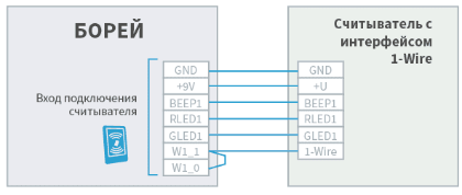 I_borey_reader_1-Wire_scheme.png