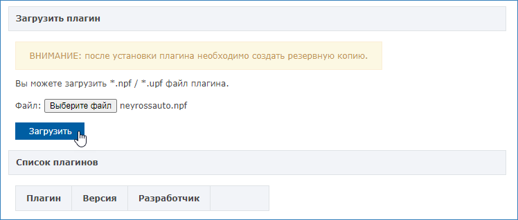 neyross_auto1.png