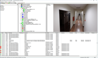 Reports_programm.png