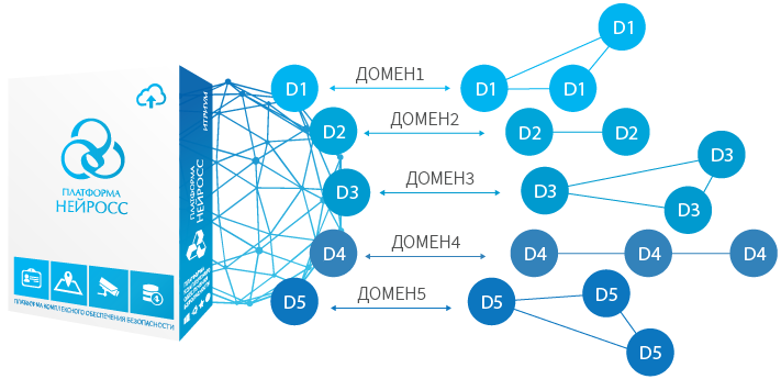 s_domens_network.png