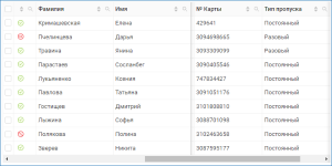 propusk_table_fixedfields.png