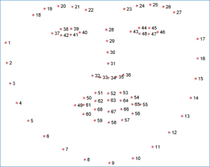 liveness_facemodel.png