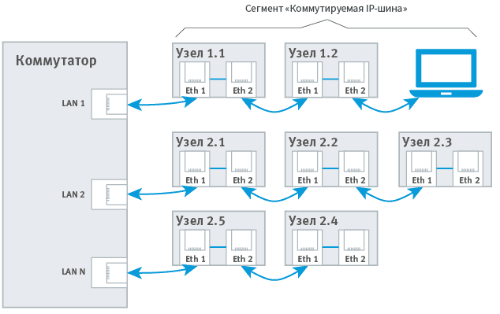 L_topology_free.png